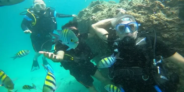 آسمان و آب در جزیره کیش آرام شد